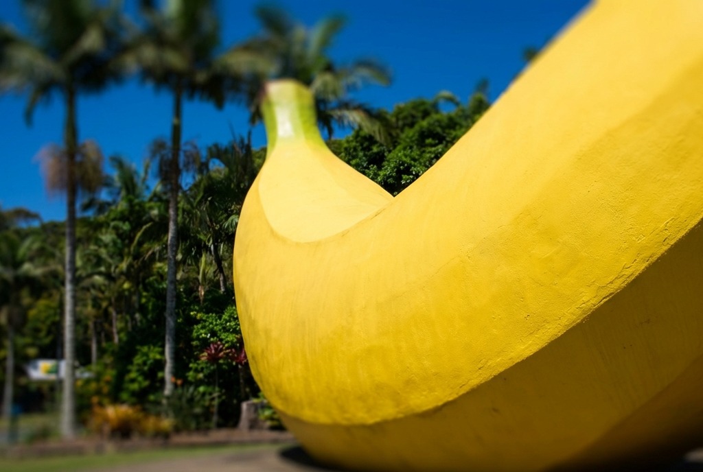 The Big Banana