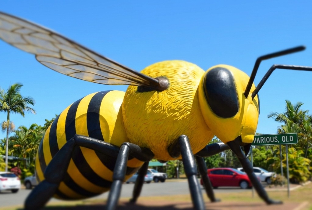 The Big Bee