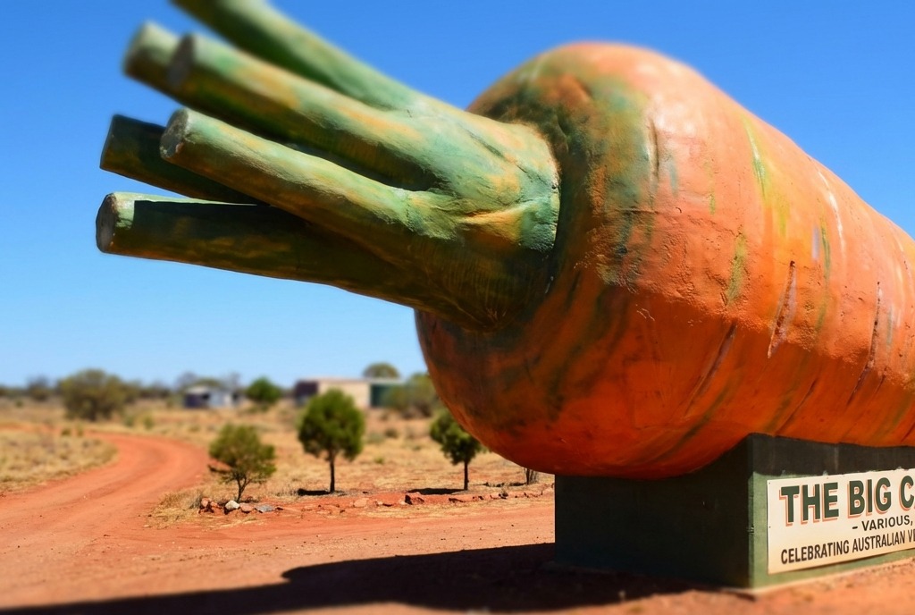 The Big Carrot