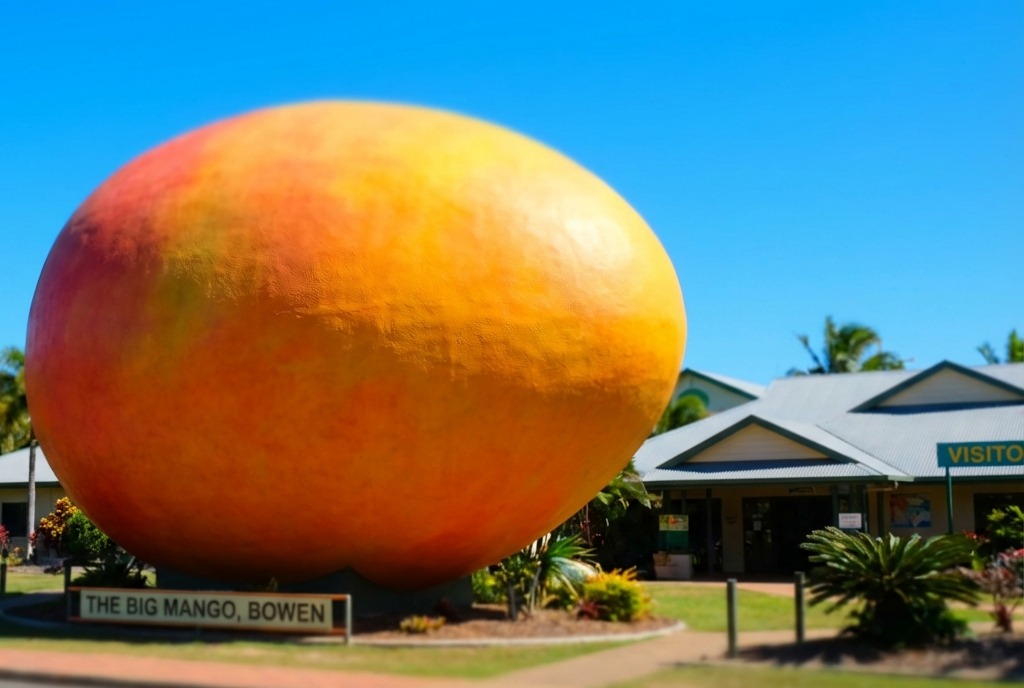 Big Mango