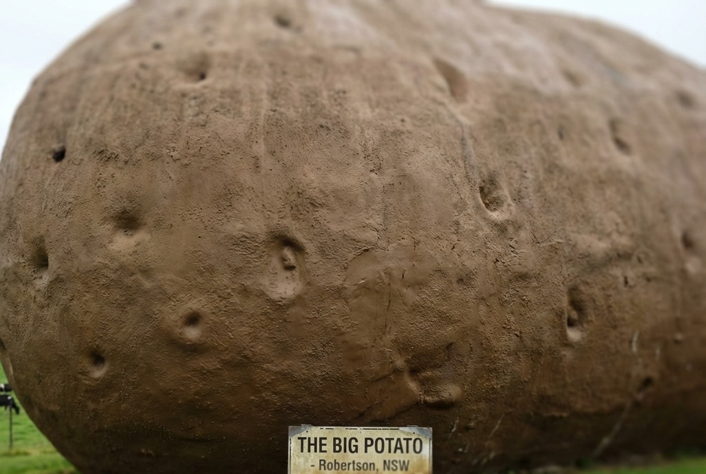 Big Potato